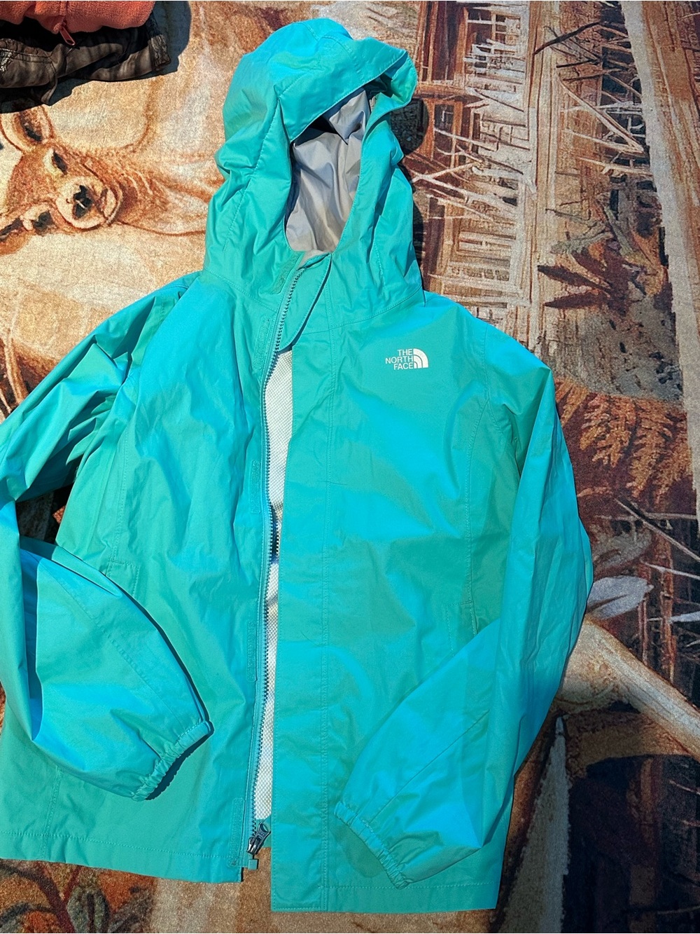 The North Face Light Teal and silver Hooded Jacket